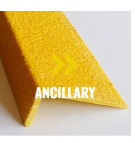 Ancillary 1